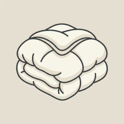 comforter set